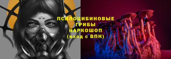 mix Горнозаводск