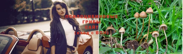 mix Горнозаводск